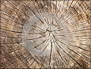 Cracked wood background texture