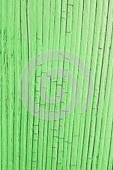 Cracked wooden plank, green color
