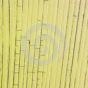 Cracked wooden plank, yellow color