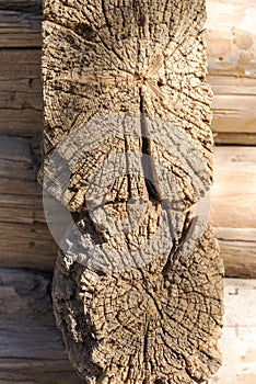 The cracked wooden stump-like texture.