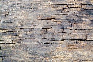 Cracked wooden surface
