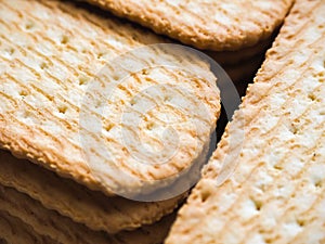 Cracker Closeup