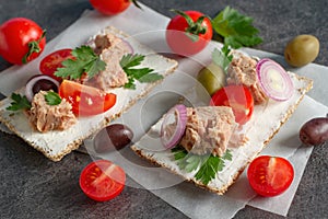 Cracker with tuna spread topping and vegetables