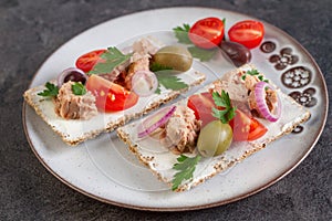 Cracker with tuna spread topping and vegetables