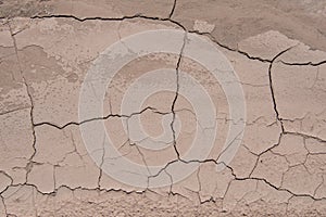 Cracking Dirt in Desert Wash Texture