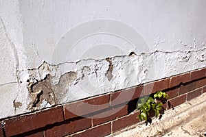 Cracking And Peeling Paint Due To Rising Damp