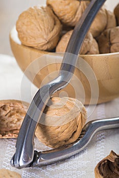 Cracking and shelling walnuts