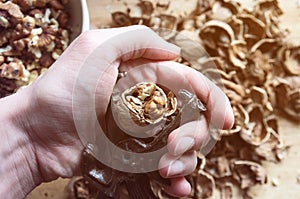 Cracking walnut nutcracker in hand on the background of the slides of the shell
