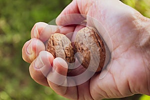 Cracking walnuts with one hand