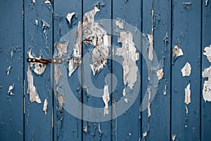 Crackle oil paint texture of old wooden door background. Multi layers of peeling paint with cracks.