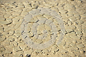 Crackled mud
