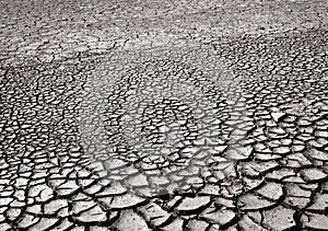 Crackled Mud Surface