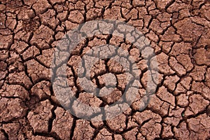 Crackled soil