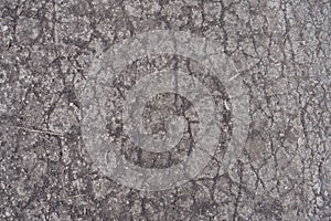Crackled surface of old concrete road