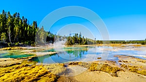 Crackling Lake in the Porcelain Basin of Norris Geyser Basin area in Yellowstone National Park in Wyoming, USA