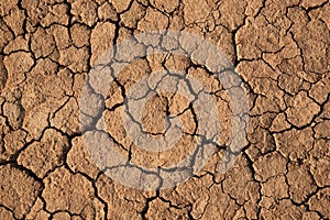 Cracks in a brown ground