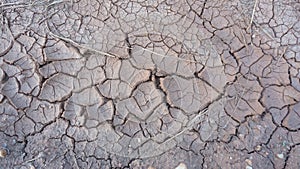 The cracks and cracks of the top of the dry land, the drought, the hardships, the hope and the waiting like the rain