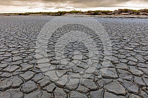 Cracks in the dried mud on the edge of the Vaccares pond