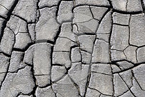 Cracks of the dried soil