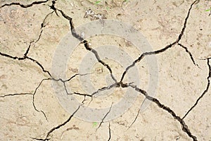 Cracks in the dried soil