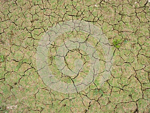 Cracks of the dried soil in arid season