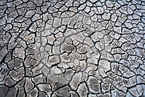 Cracks in the dried soil