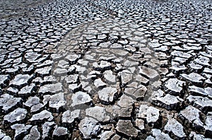 Cracks in the dried soil