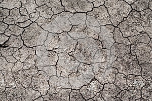 Cracks of the dried soil texture in arid season