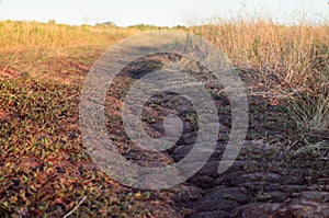 Cracks in dry dirty ground road, rainless in summer. Soil drying out