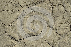 Cracks in the dry ground. Drought background