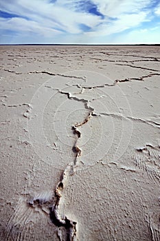 Cracks on the dry salt lake, Central Australia