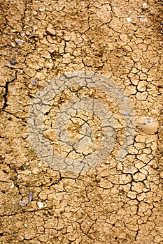 Cracks in the earth