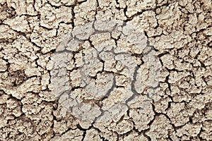 Cracks in the earth in rural areas. Ground texture background.