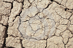 Cracks in the earth in rural areas. Ground texture background. Dry soil abstract photo.