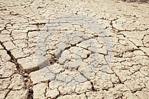 Cracks in the earth in rural areas. Ground texture background. Dry soil abstract photo