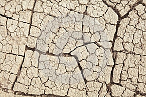 Ground texture background. Dry soil abstract photo. Mosaic pattern