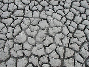 Cracks in the ground