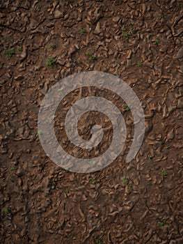 Cracks in the ground. The parched earth cracks under the strain, revealing a network of fissures in the dusty ground