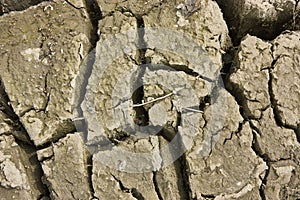 Cracks in the ground