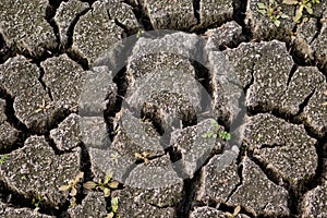 Cracks in mud due to drought