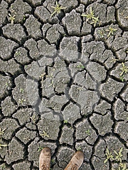 Cracks in mud due to drought