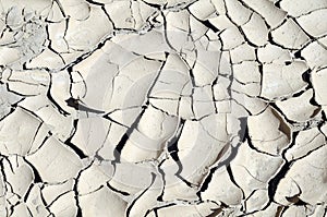 Cracks in the mud of a reservoir due to drought