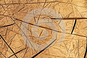 The cracks pattern on wet mud in desert