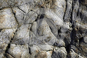 Cracks in rounded and smooth granite stones. Colonies of mussels and shellfish. Natural background. Atlantic Ocean coast