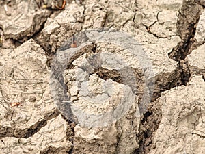 Cracks in salty mud from above. Cracks in mud due to drought