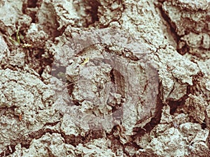 Cracks in salty mud from above. Cracks in mud due to drought