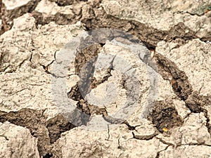 Cracks in salty mud from above. Cracks in mud due to drought