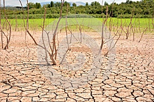 Cracks in soil due to drought