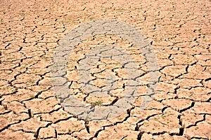 Cracks in soil due to drought photo