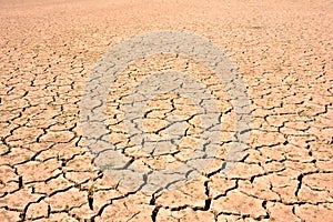 Cracks in soil due to drought photo